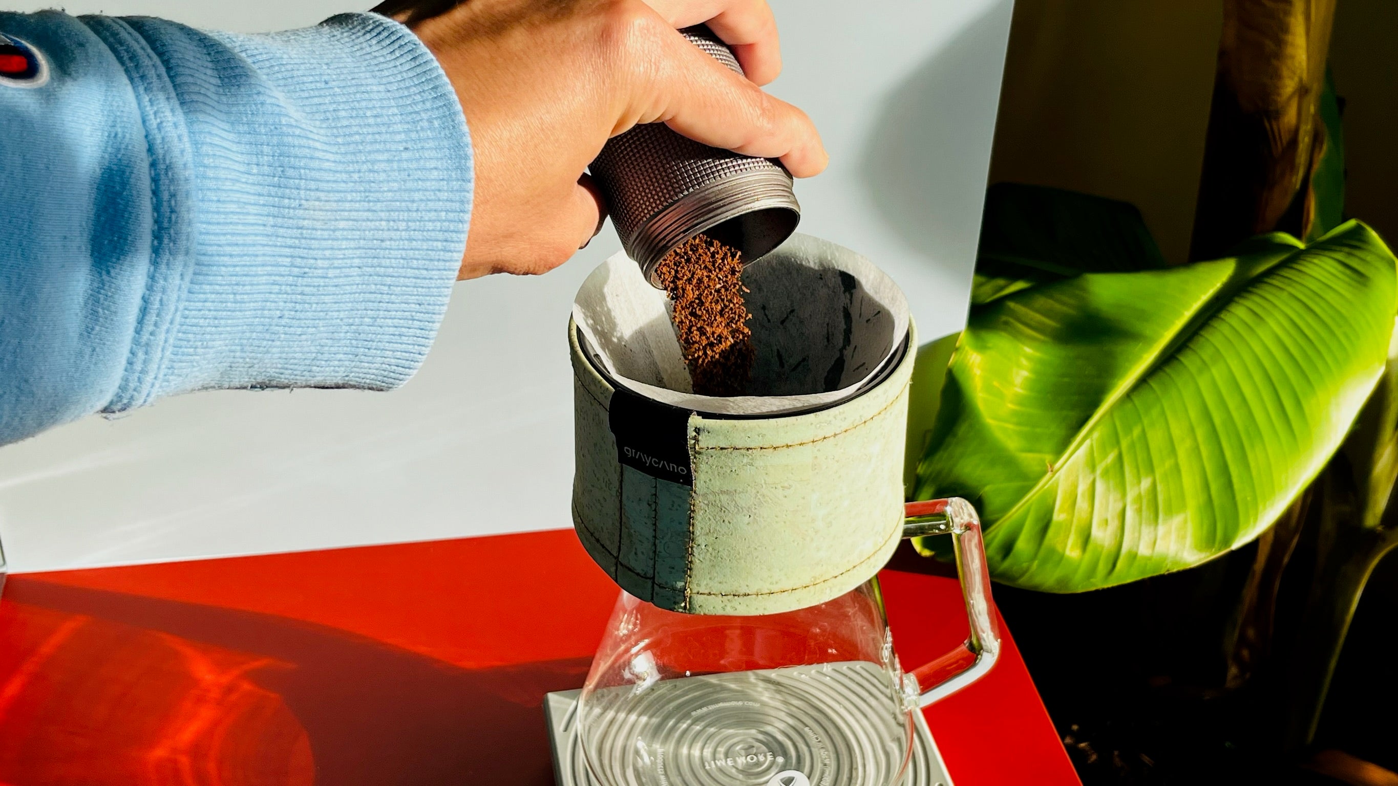 Person preparing coffee using a graycano dripper on a colorful surface with a plant in the background.