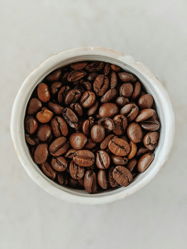 White container filled with coffee beans on a light gray background
