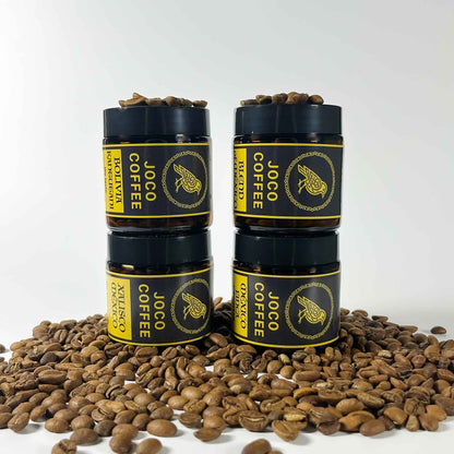 JOCO Origins Tasting Box | Limited Edition