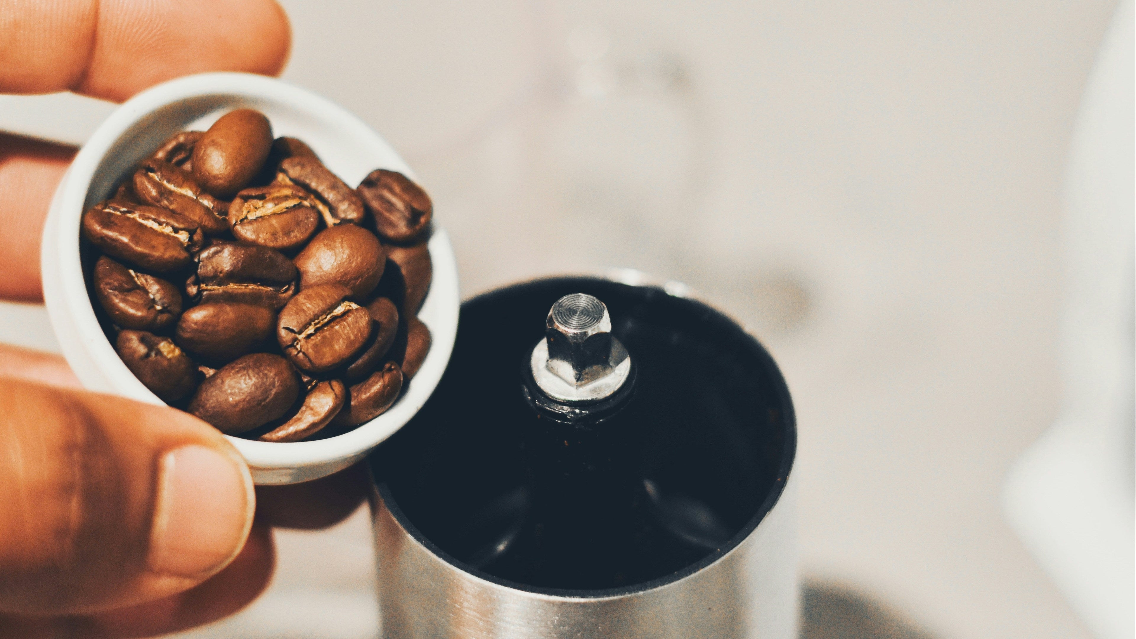 Hand holding a scoop of coffee beans with a coffee grinder in the background